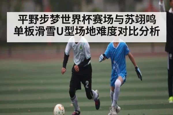 平野步梦世界杯赛场与苏翊鸣单板滑雪U型场地难度对比分析
